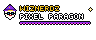WizNerdZ Pixel Paragon